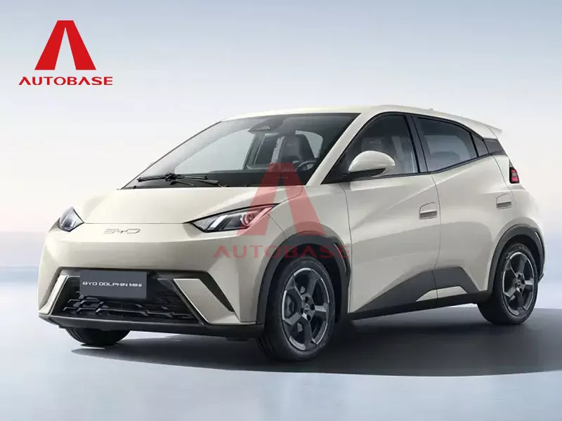 Byd Soegull